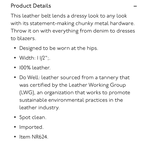 Madewell Chunky Statement Belt - Picture 3 of 3